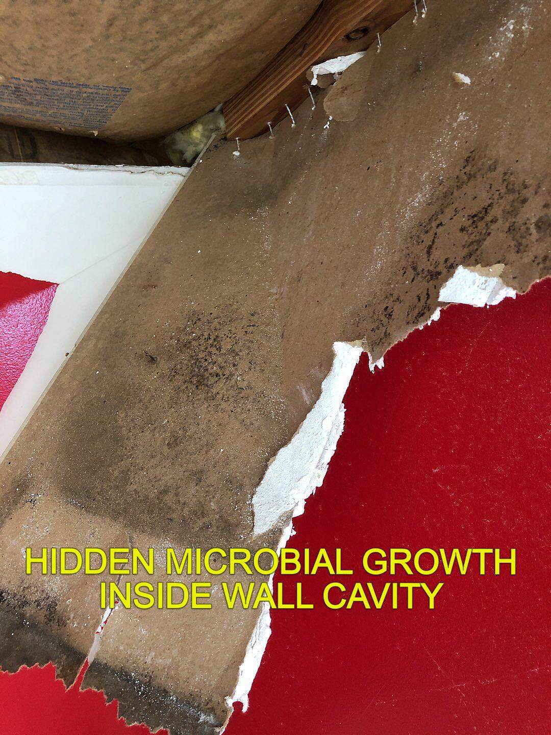 hidden microbial growth